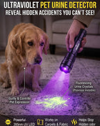 395-405nm UV Flashlight, Zoomable Black Light for Resin Curing | Pet urine detector light for carpets and upholstery, UV leak detection light for A/C dye, & scorpion hunting and hotel checks