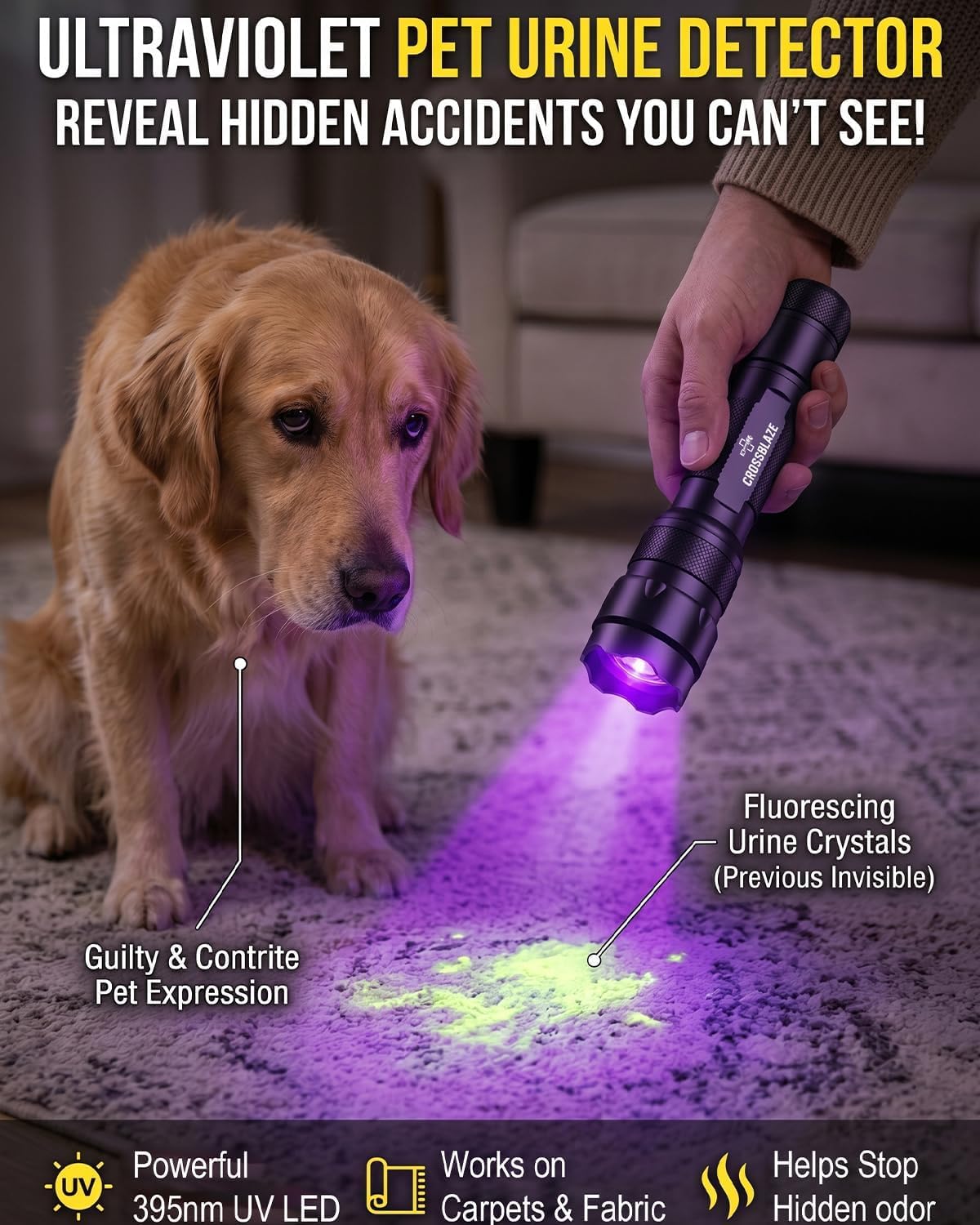 395-405nm UV Flashlight, Zoomable Black Light for Resin Curing | Pet urine detector light for carpets and upholstery, UV leak detection light for A/C dye, & scorpion hunting and hotel checks