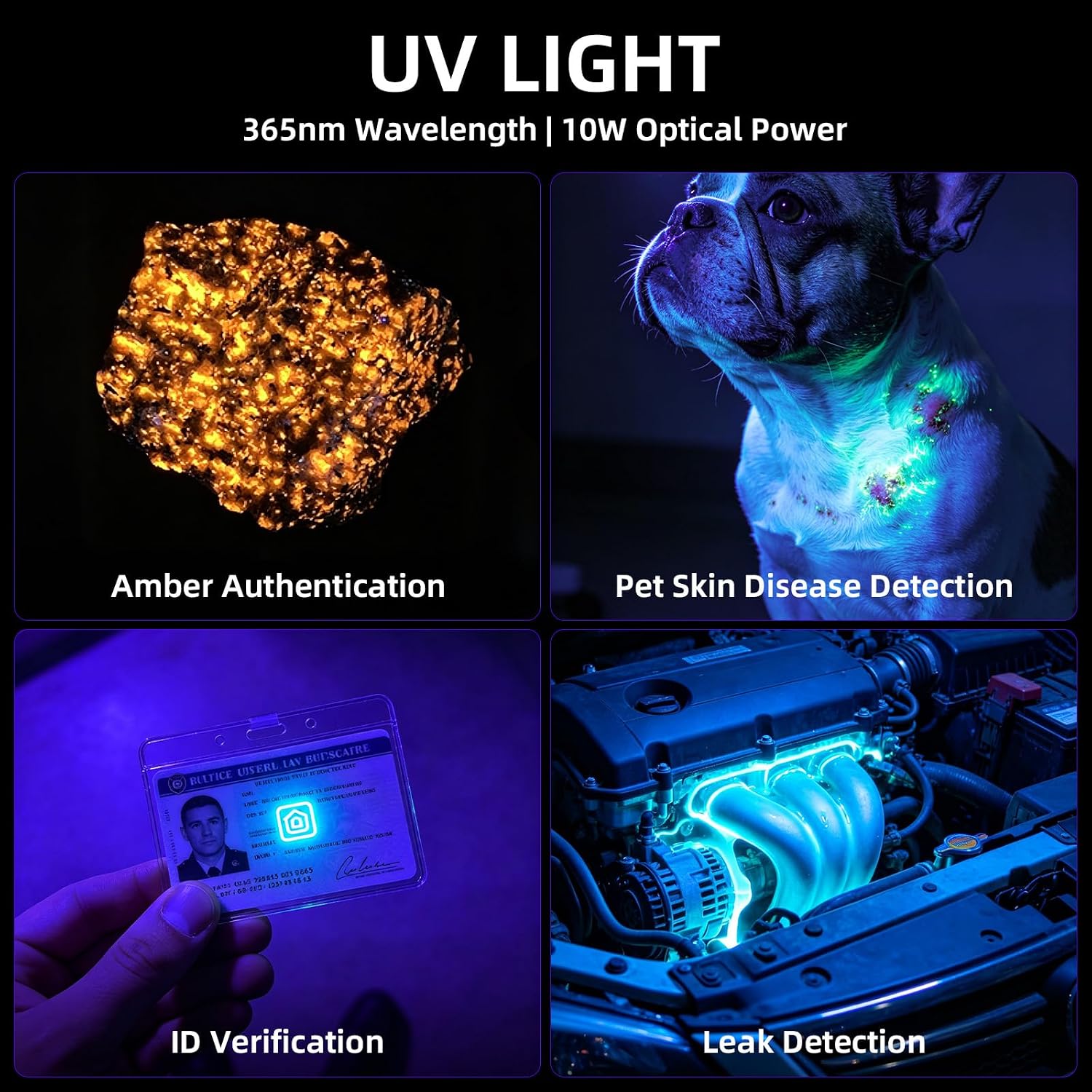 UV70 365nm UV Flashlight, 10W Rechargeable Black Light Flashlight with Filter Lens, USB-C Ultraviolet Light for Pet Urine Detection, Resin Curing, Currency, Minerals, Scorpions